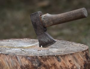 brown wooden handled ax thumbnail