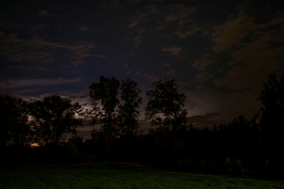 photo of trees during nigh time preview