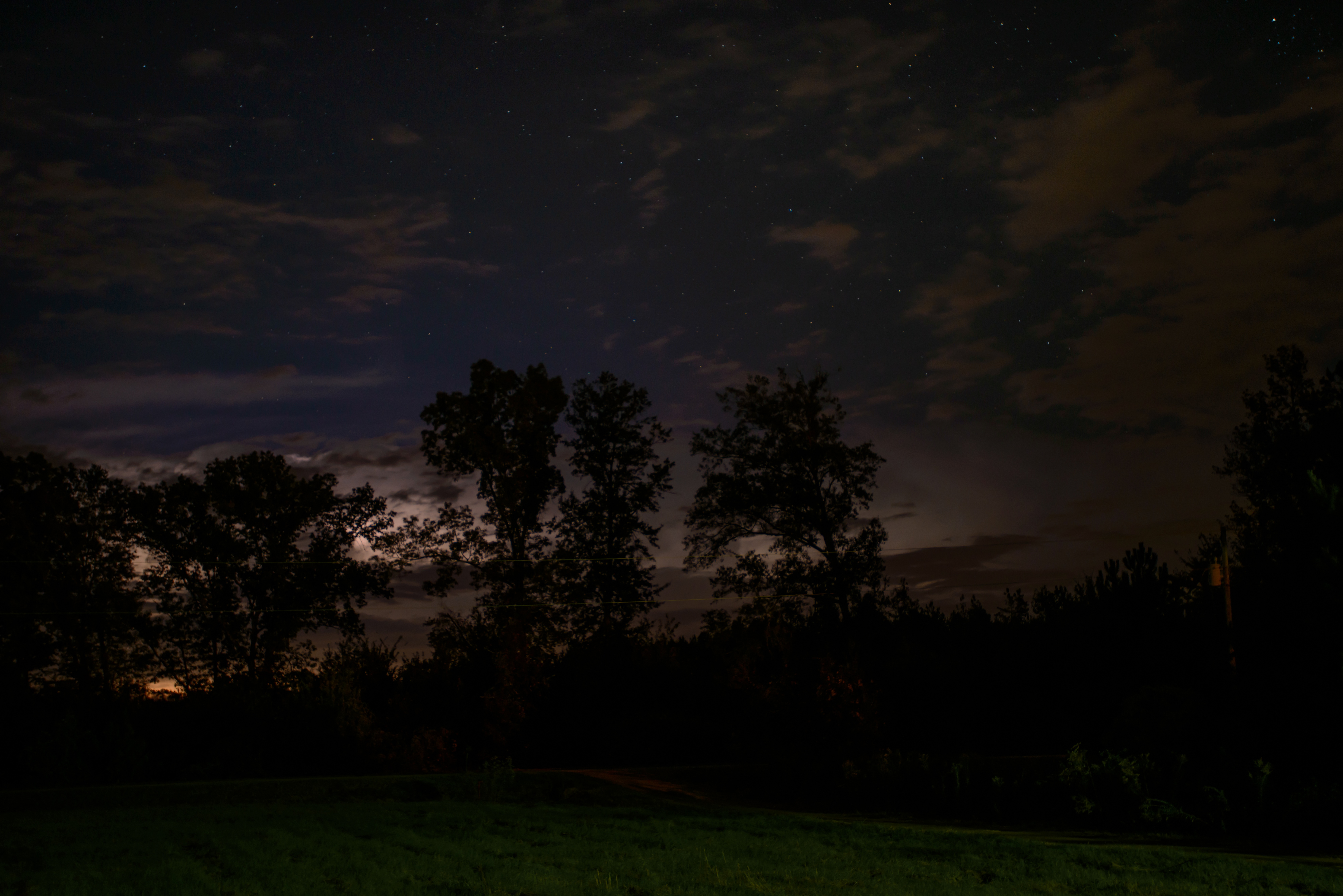 photo of trees during nigh time