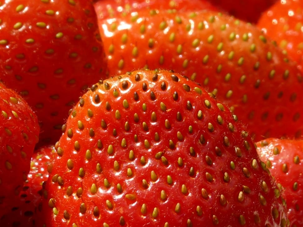 strawberry lot preview