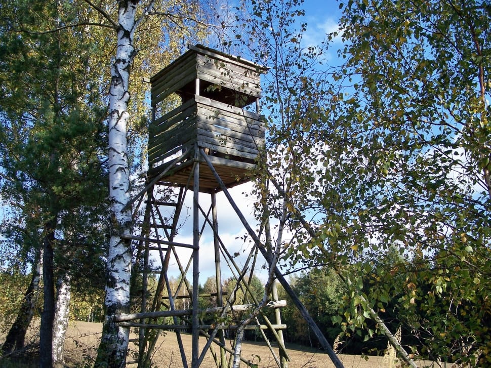 brown wooden watch tower preview