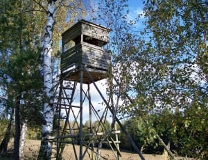 brown wooden watch tower thumbnail