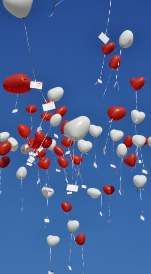 white and heart shaped balloons flew in daytime thumbnail