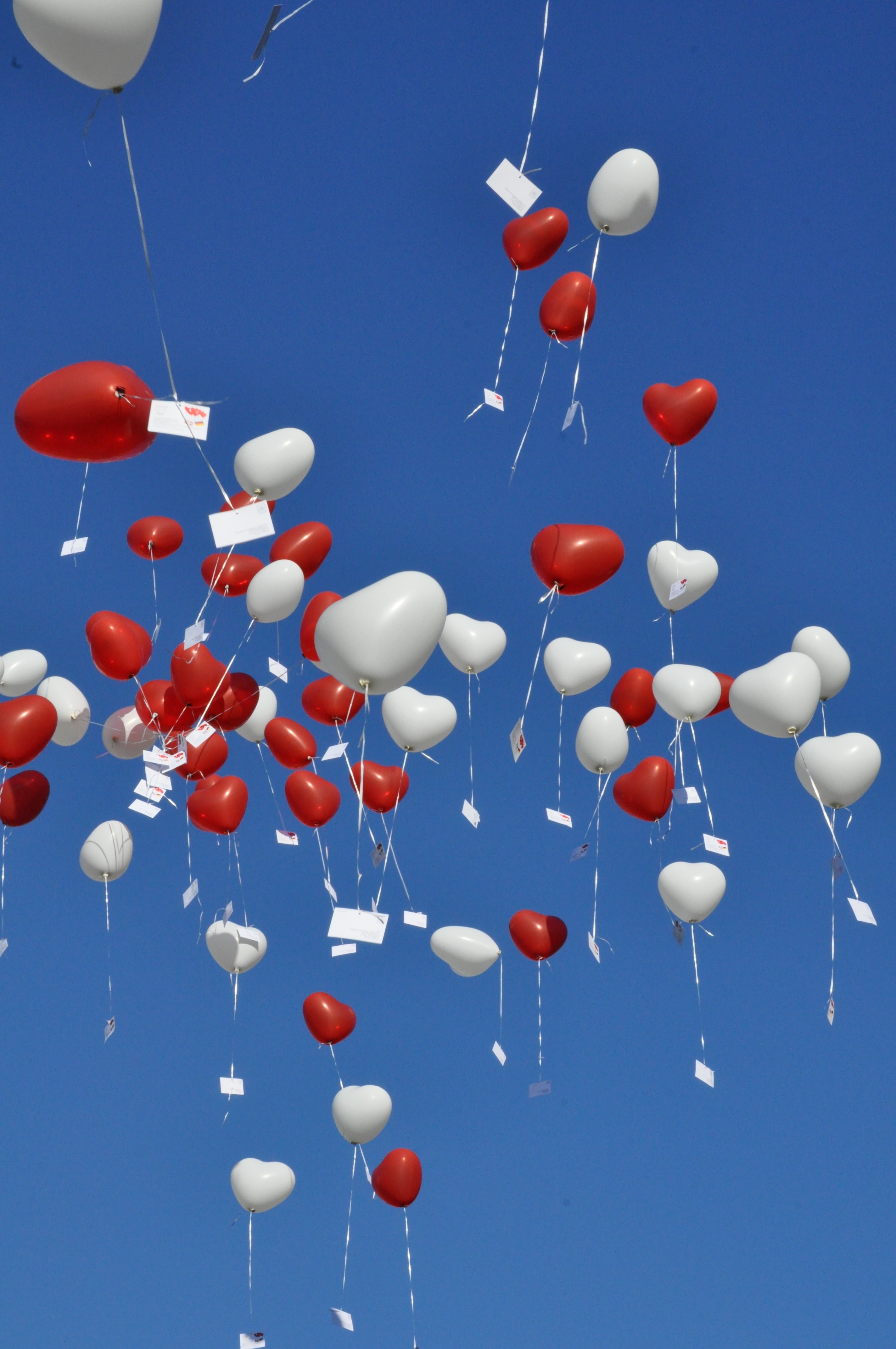white and heart shaped balloons flew in daytime