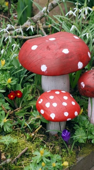 red-and-white mushroom garden ornament thumbnail