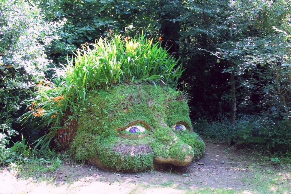 green moss garden decor preview