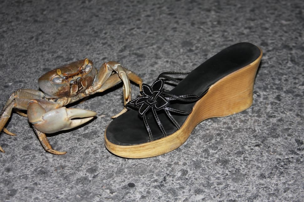 brown and black open toe wedge; brown and gray crab preview