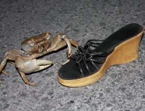 brown and black open toe wedge; brown and gray crab thumbnail