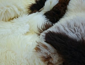 white black and tan fleece textile thumbnail