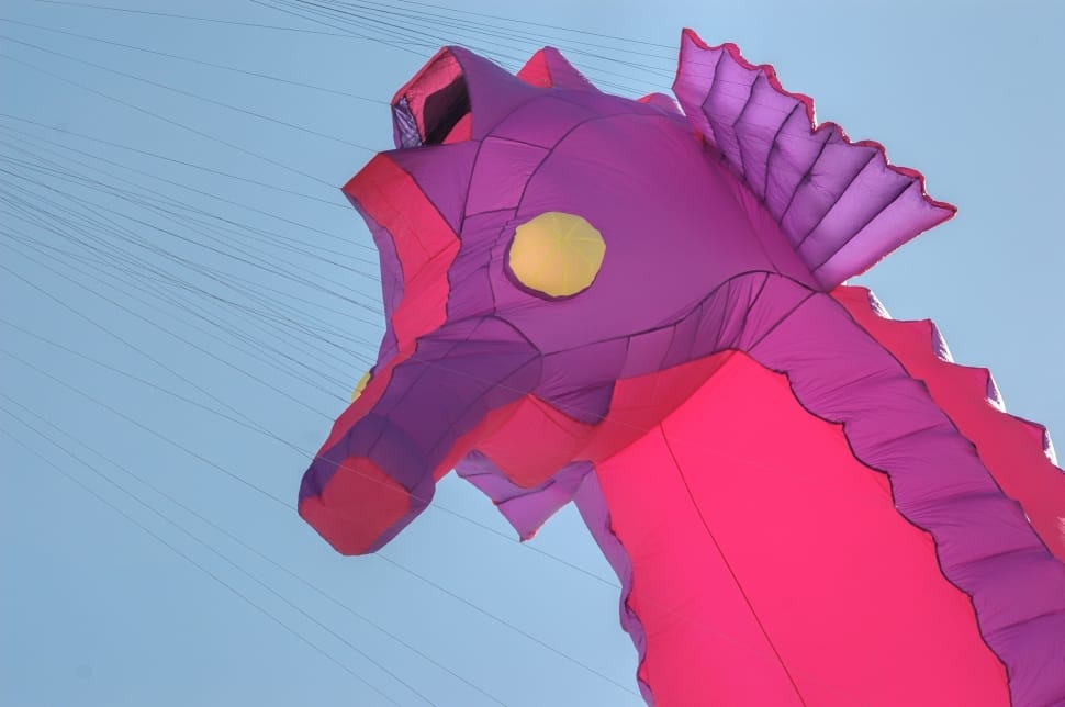purple and pink inflatable seahorse preview