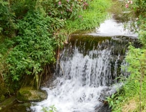 water falling on creek surrounded by green grasses thumbnail
