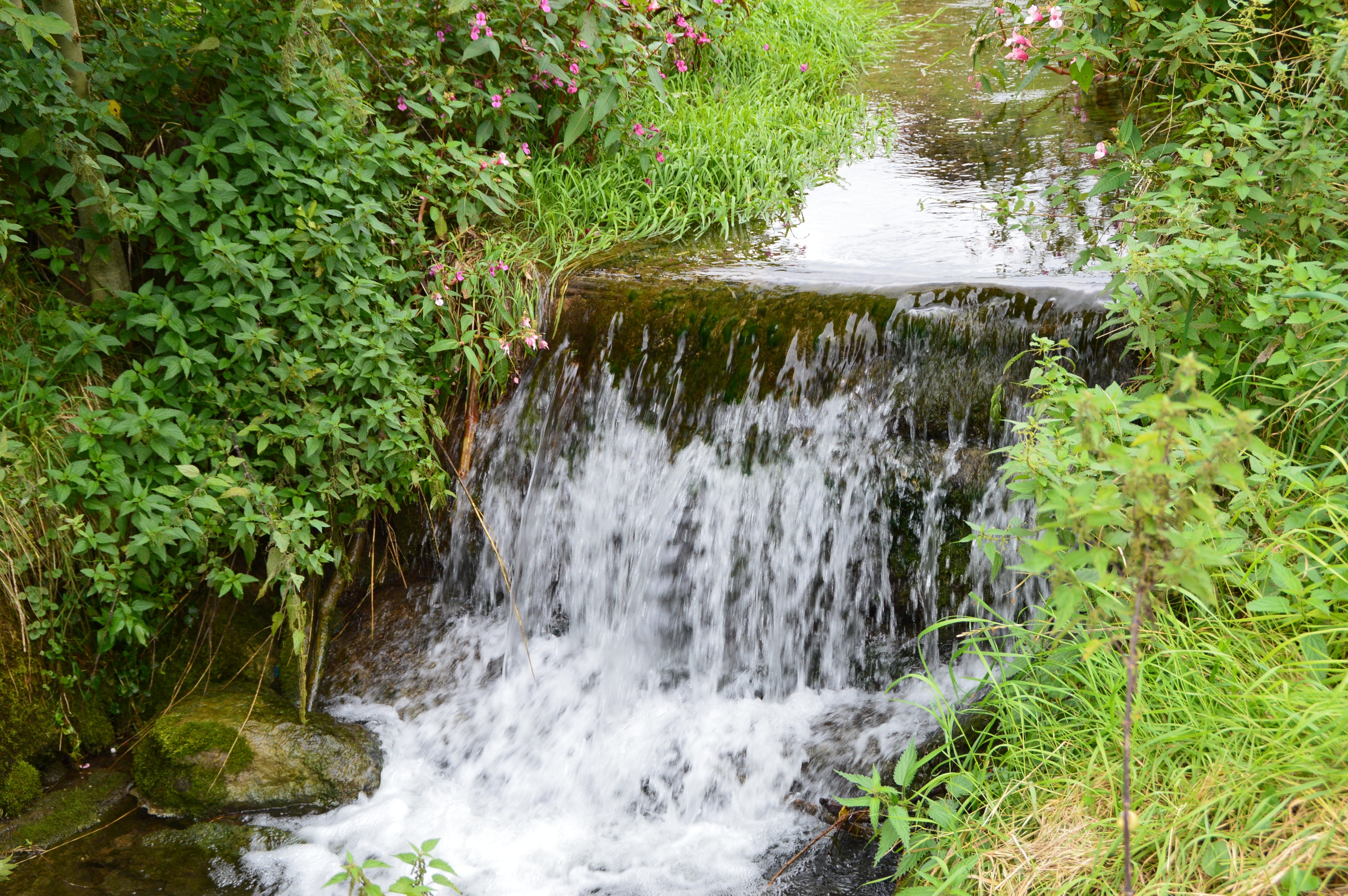 water falling on creek surrounded by green grasses
