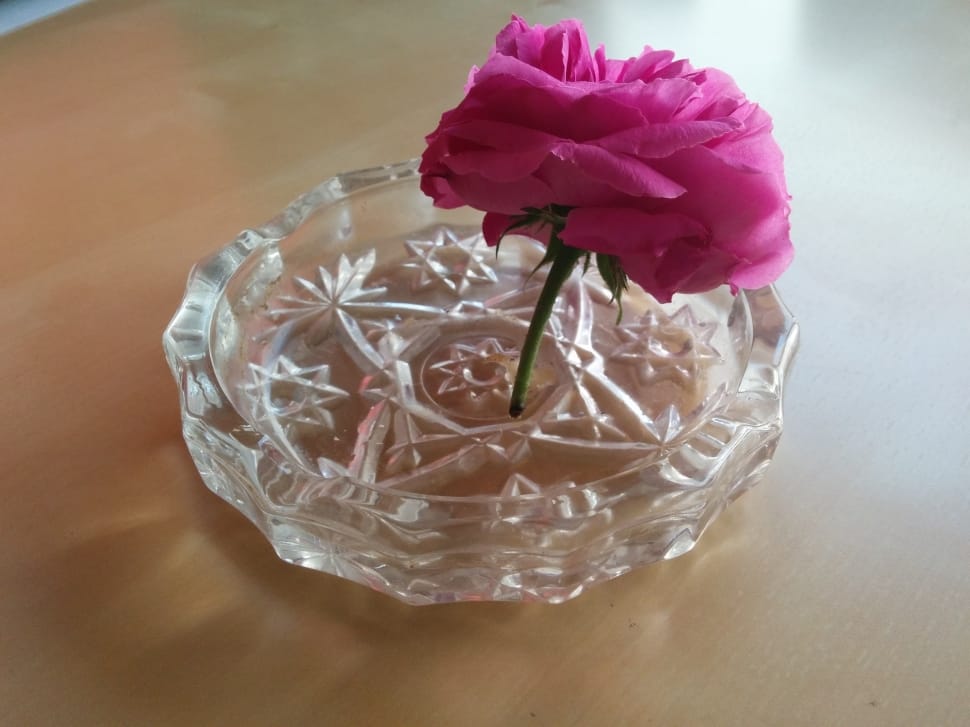 clear glass round ash tray preview