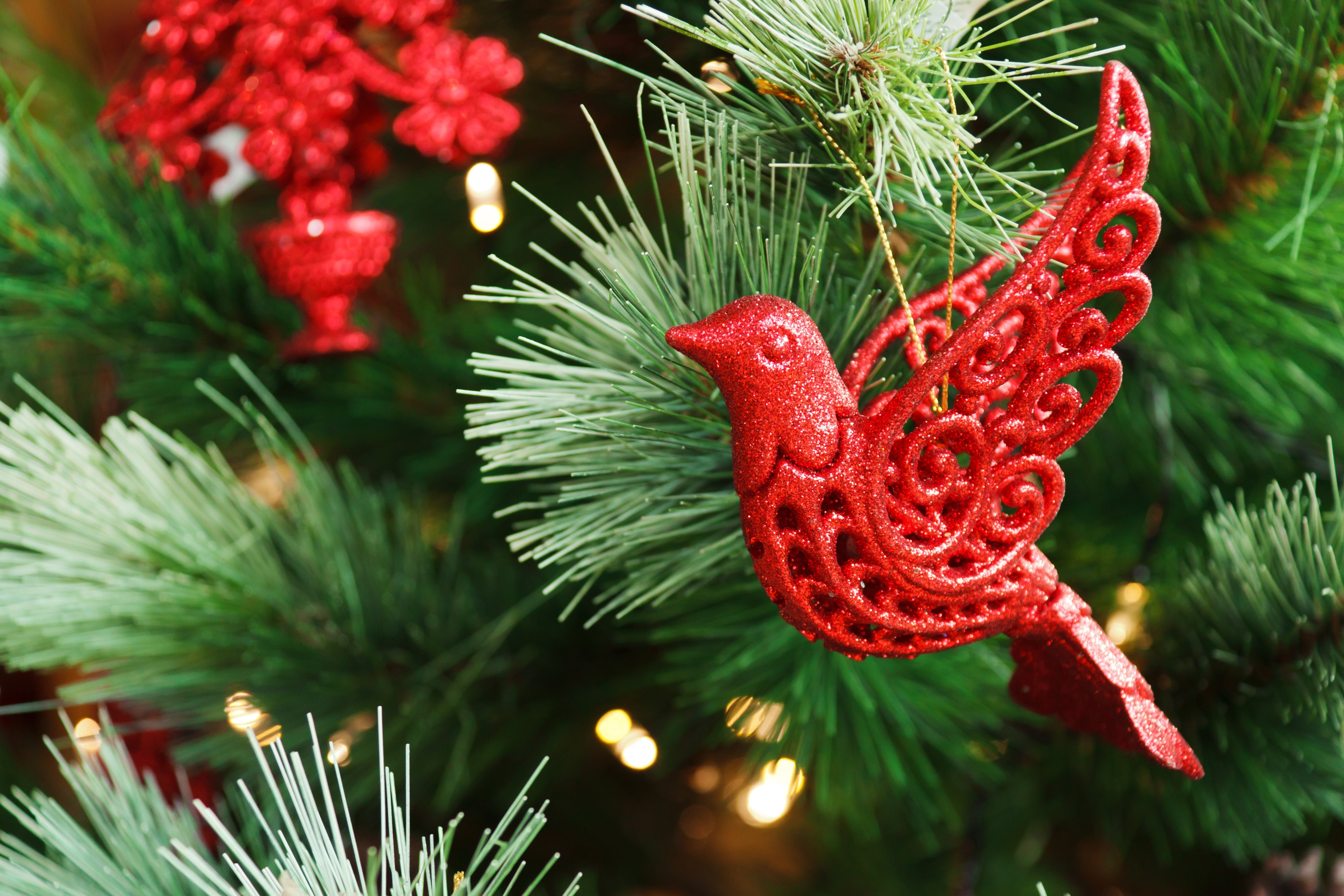 red bird christmas tree decor