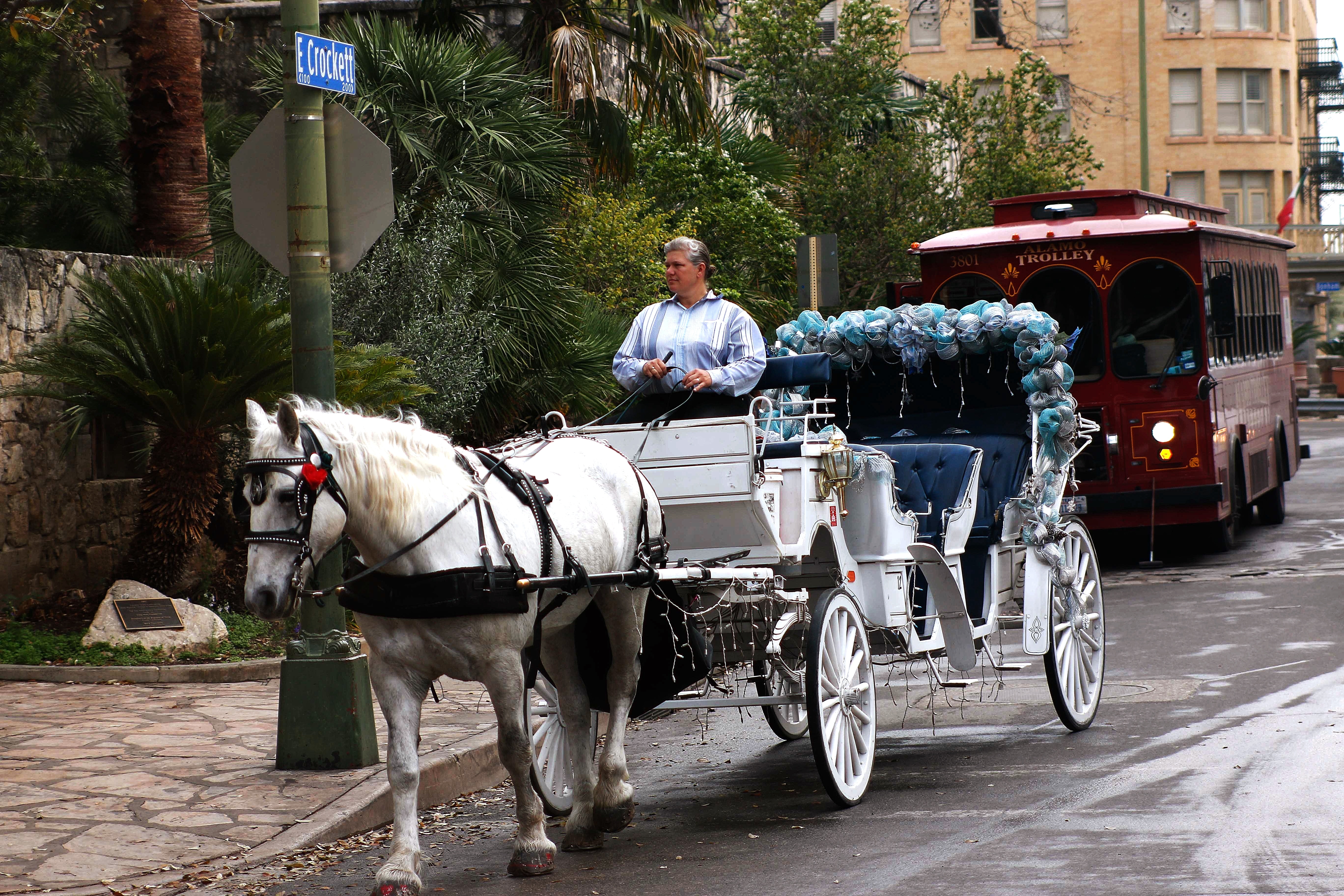 white wooden horse carriage