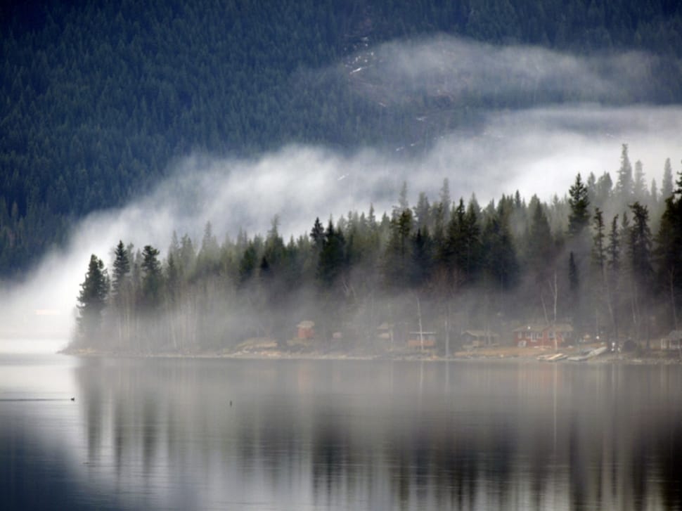 foggy lake photo preview