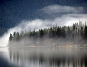 foggy lake photo thumbnail