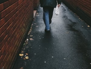 person walking on black pavement thumbnail