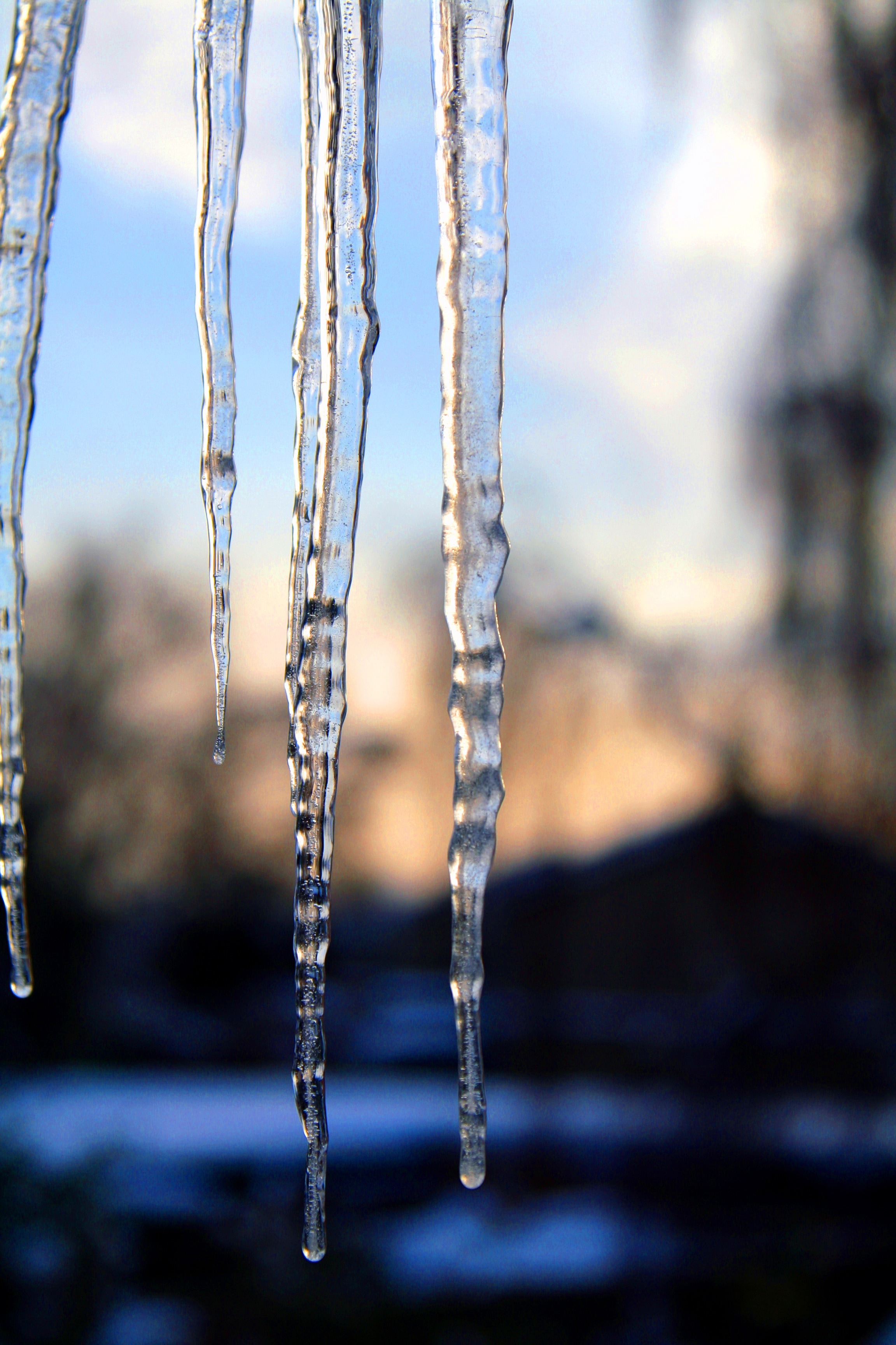 4 clear icicles
