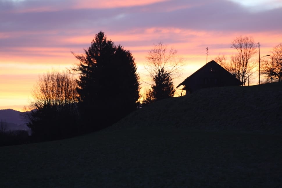 silhouette of trees and house preview