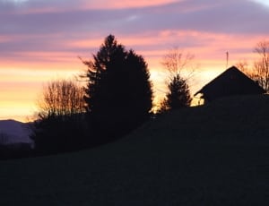 silhouette of trees and house thumbnail