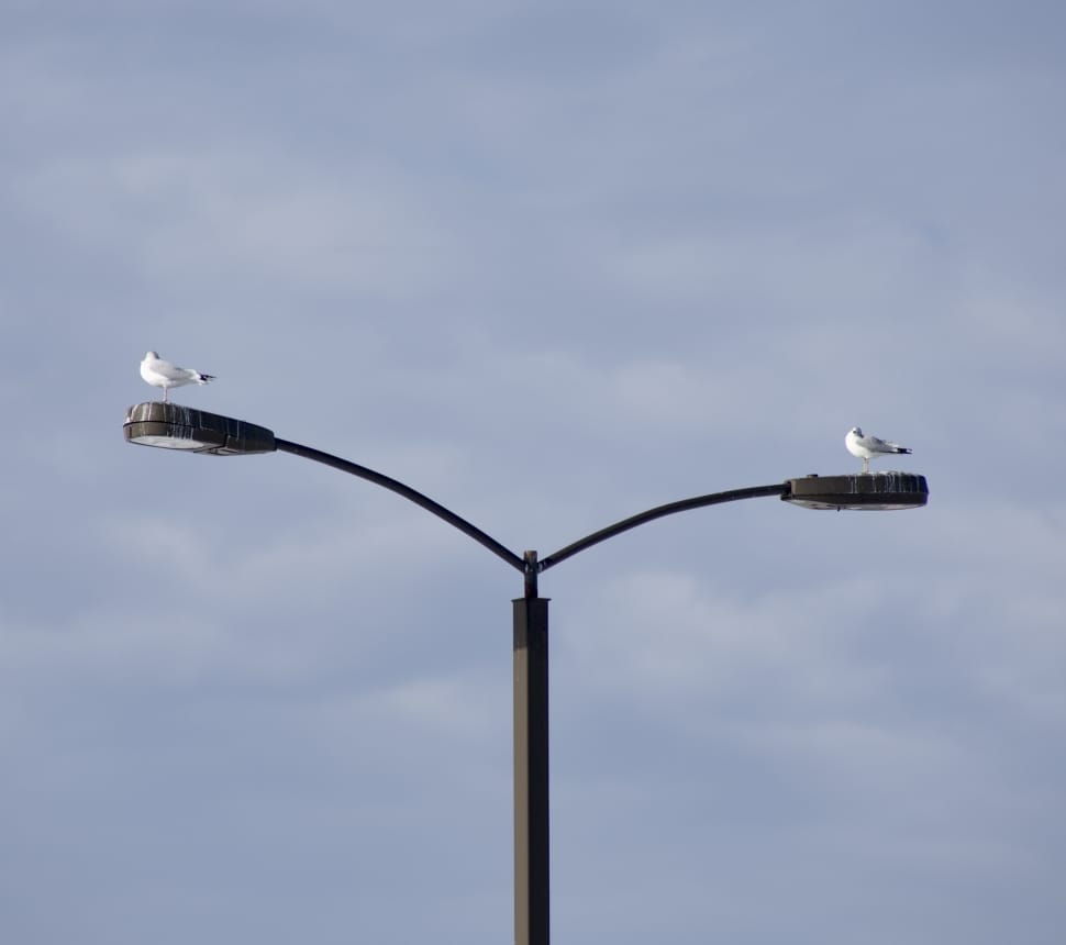 black post lamp preview