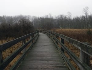 Path, Walkway, Park, Outdoor, Bridge, fog, the way forward thumbnail