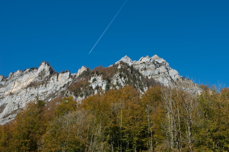 grey mountain near green leaved trees during daytime preview