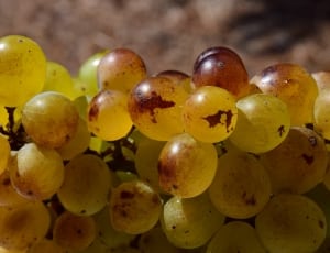 yellow and brown grape fruits thumbnail
