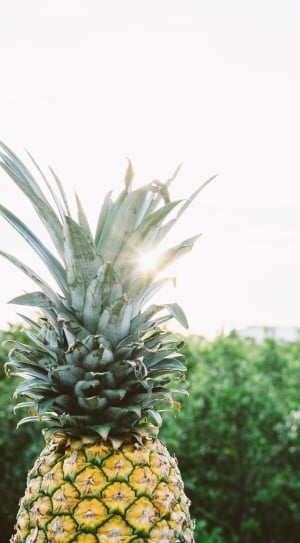 closeup view of ripe pineapple fruit thumbnail