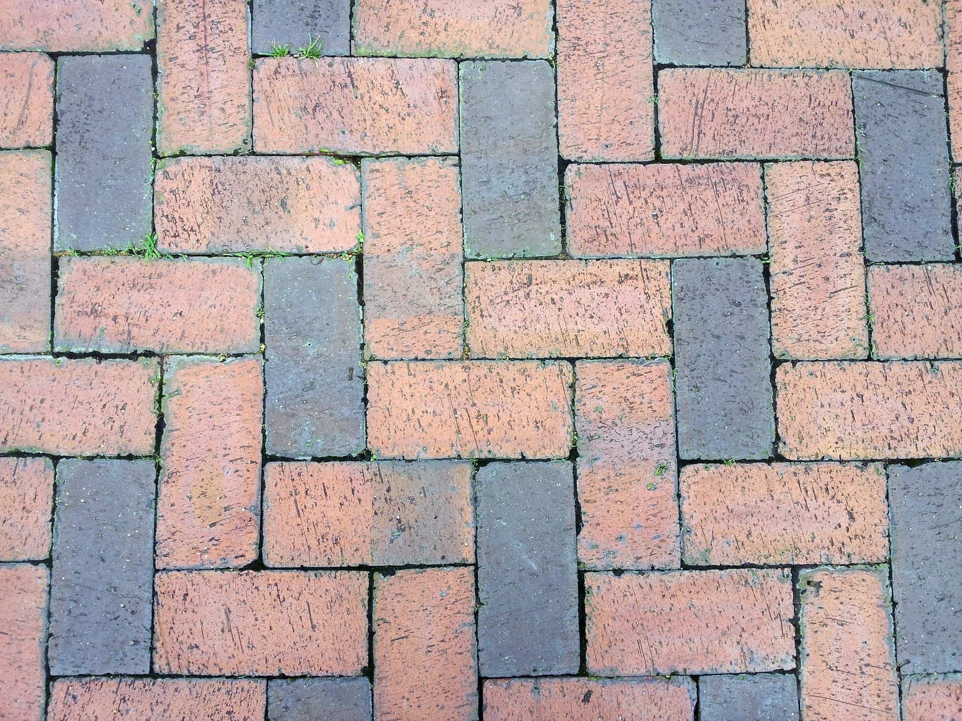 brown and gray bricks