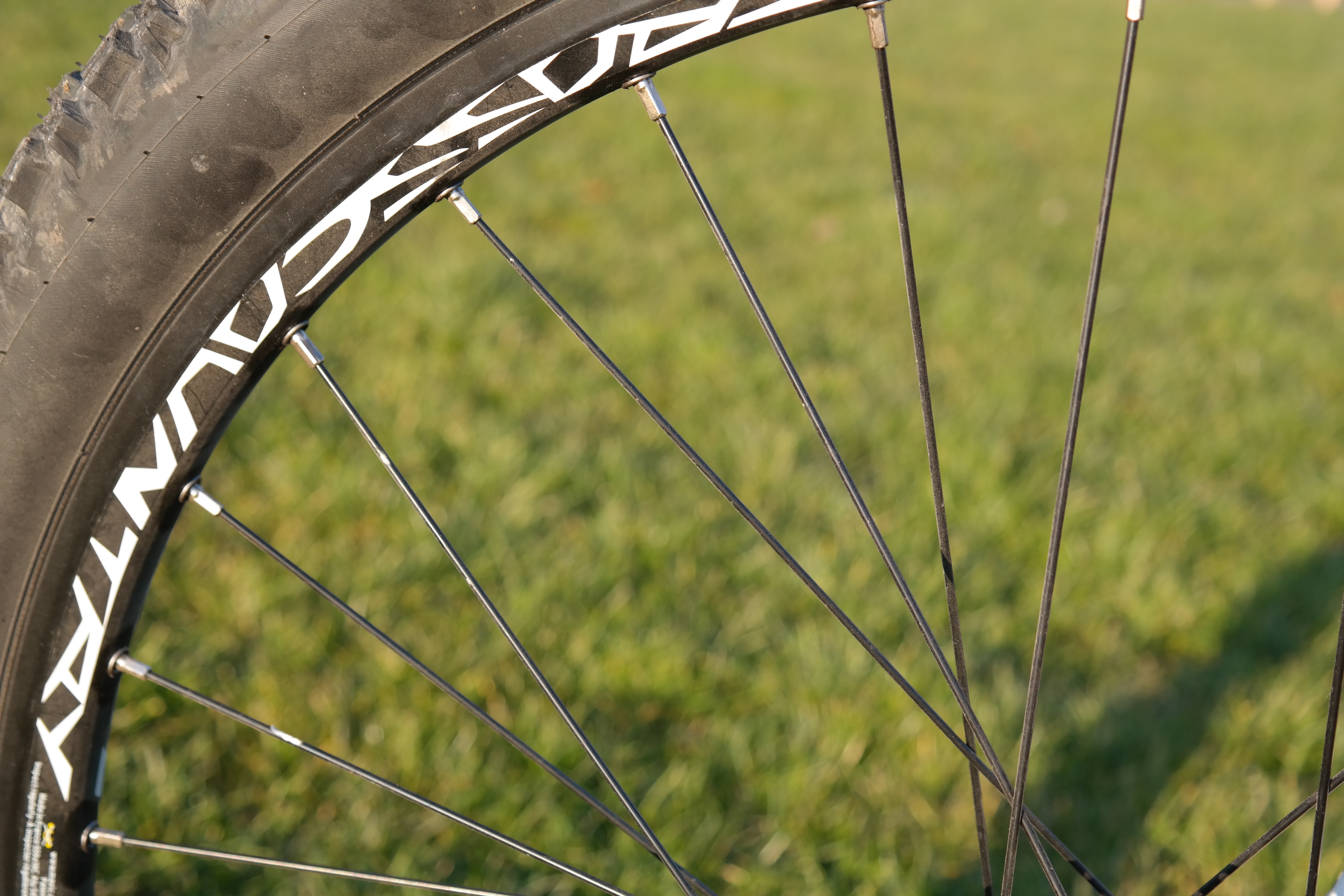 bicycle wheel and tire