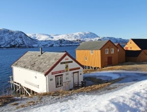 white and brown wooden houses thumbnail