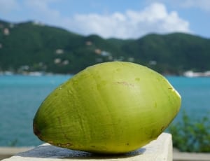 fresh coconit thumbnail