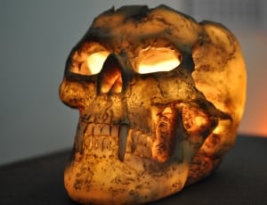 lighted fanged skull decor thumbnail