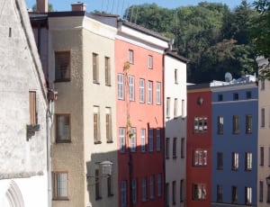 white and red buildings near trees during daytime thumbnail
