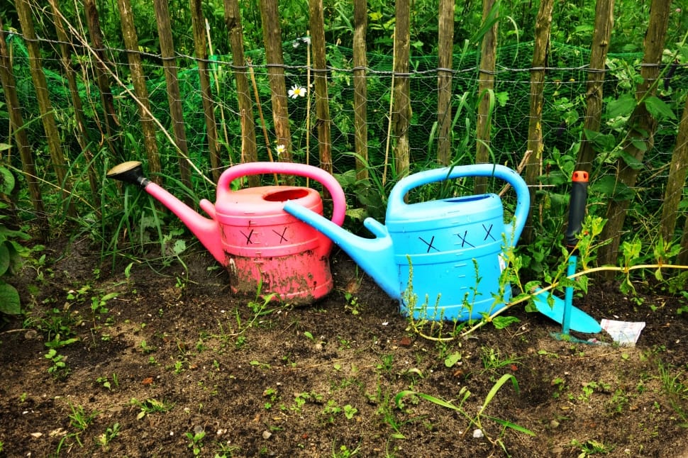 blue and red plastic watering cans preview