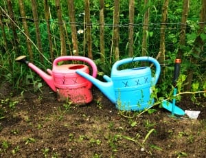 blue and red plastic watering cans thumbnail