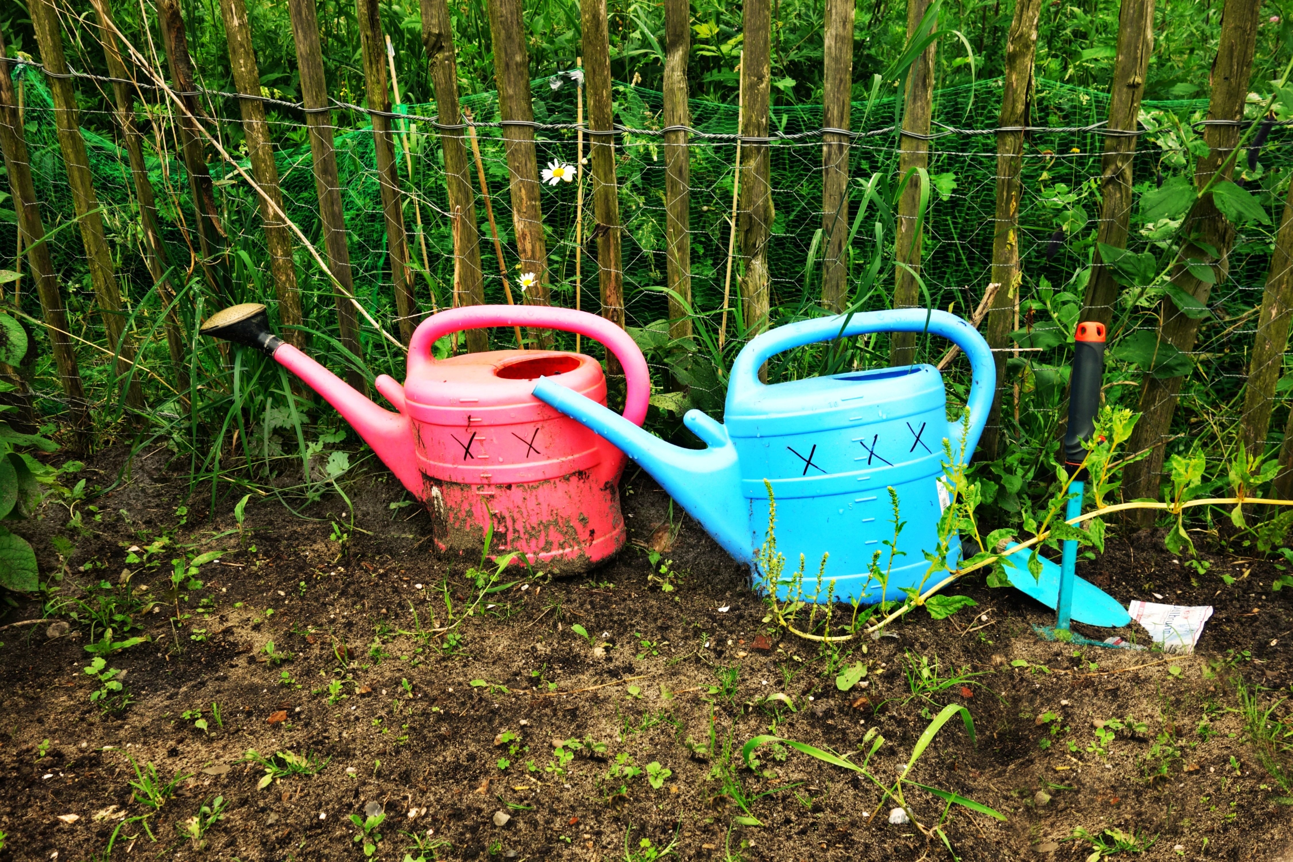blue and red plastic watering cans