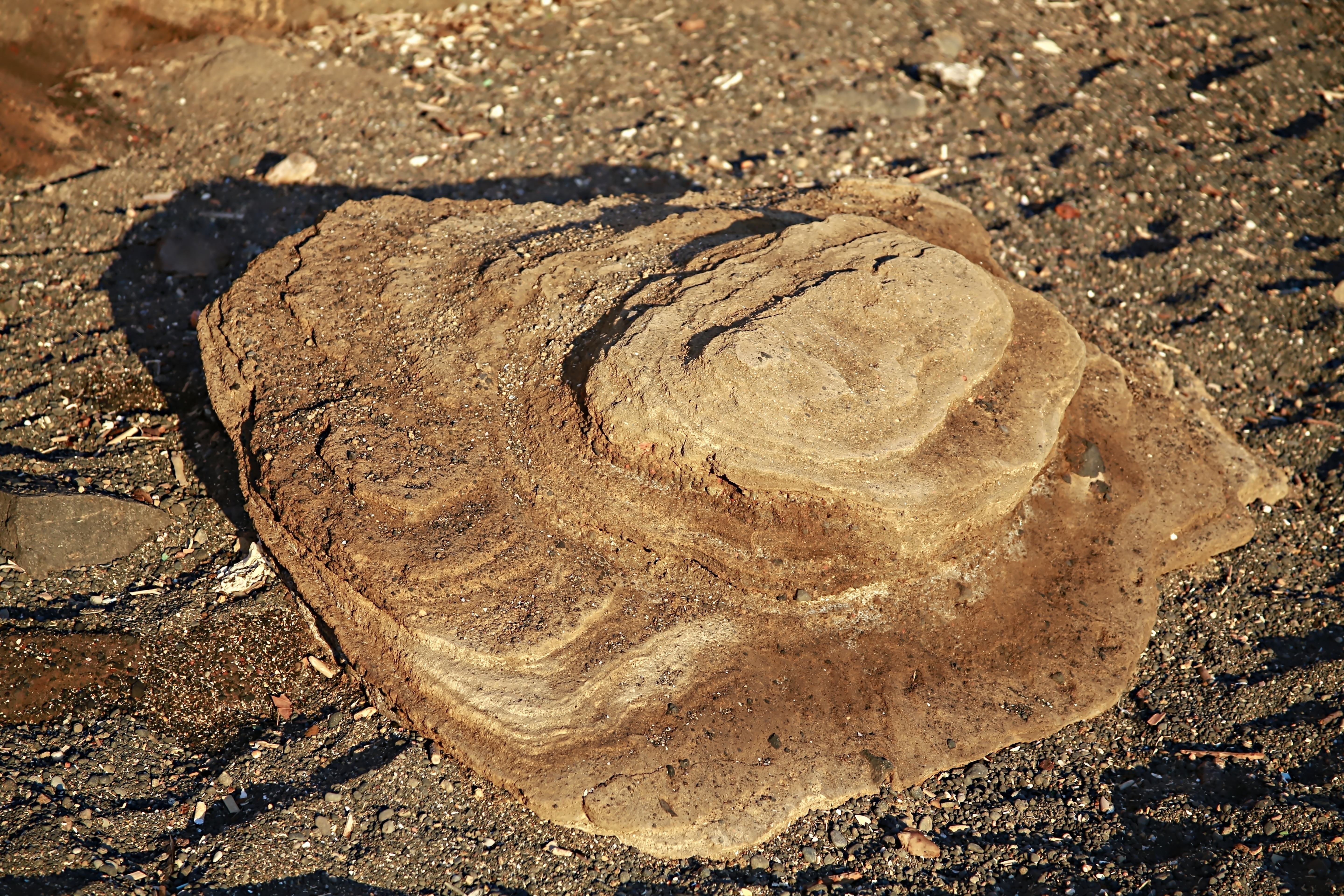 brown rock fragment