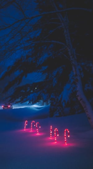 6 red lighted candy canes in snow near car at nighttime thumbnail