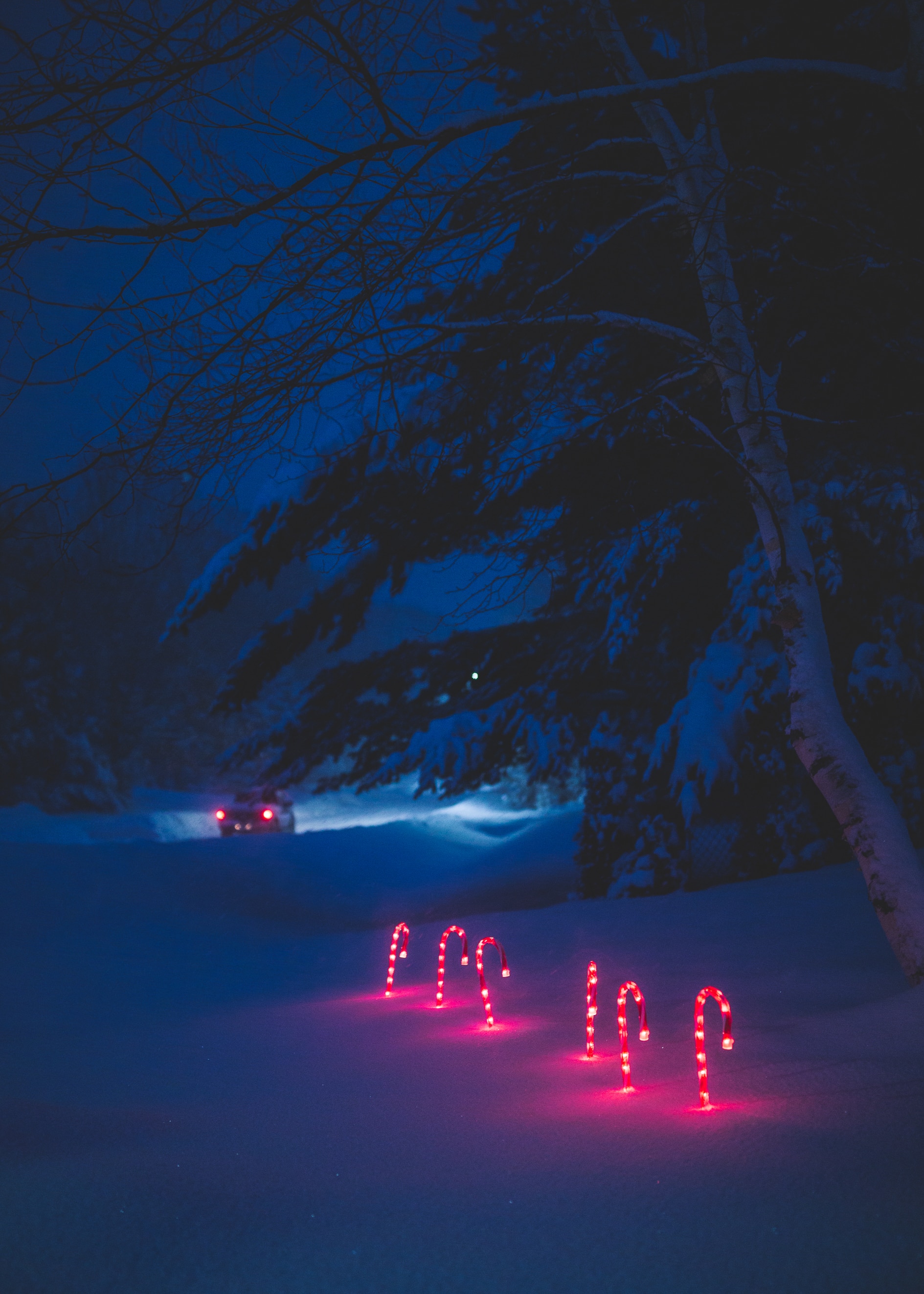 6 red lighted candy canes in snow near car at nighttime