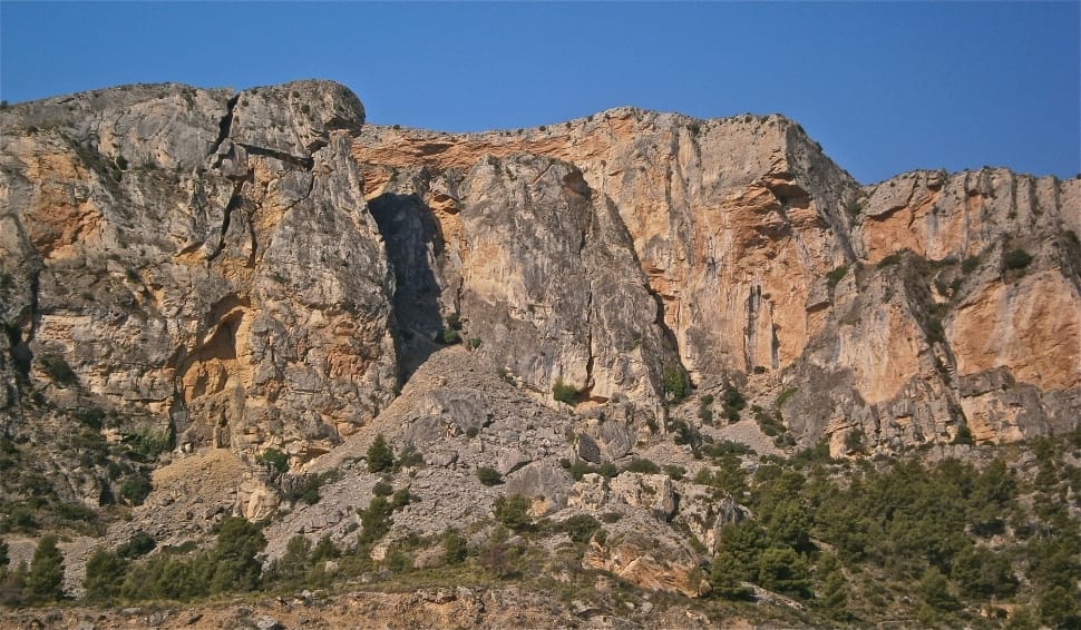 rock formation near tall tree preview