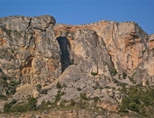 rock formation near tall tree thumbnail