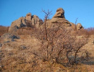 brown rock formation during daytime thumbnail