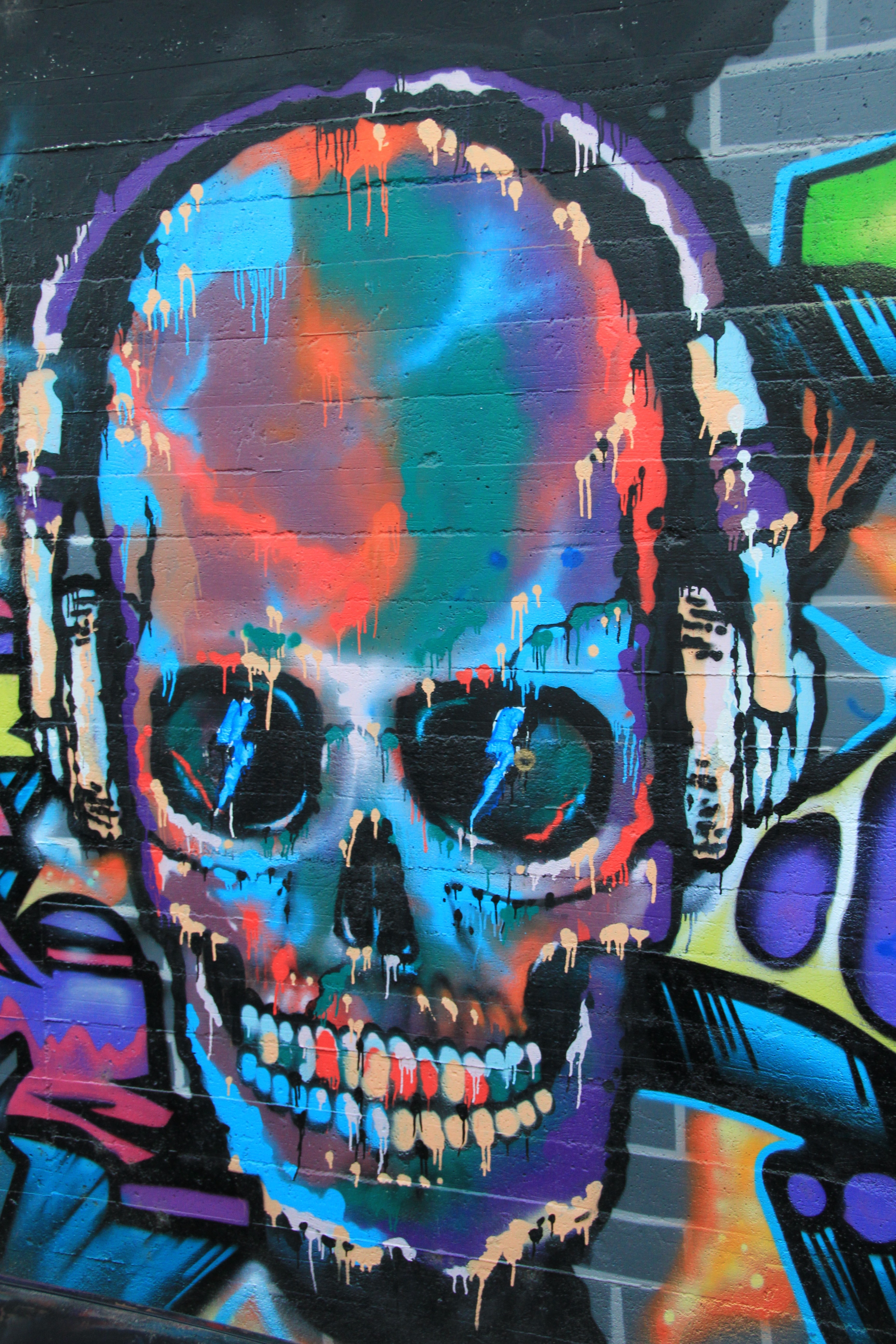 skull wearing headphones multi color vandal