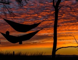 silhouette photo of person on swing thumbnail