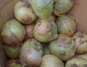 onion lot thumbnail