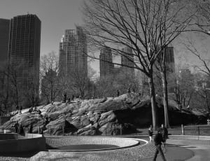 gray scale photo of park thumbnail