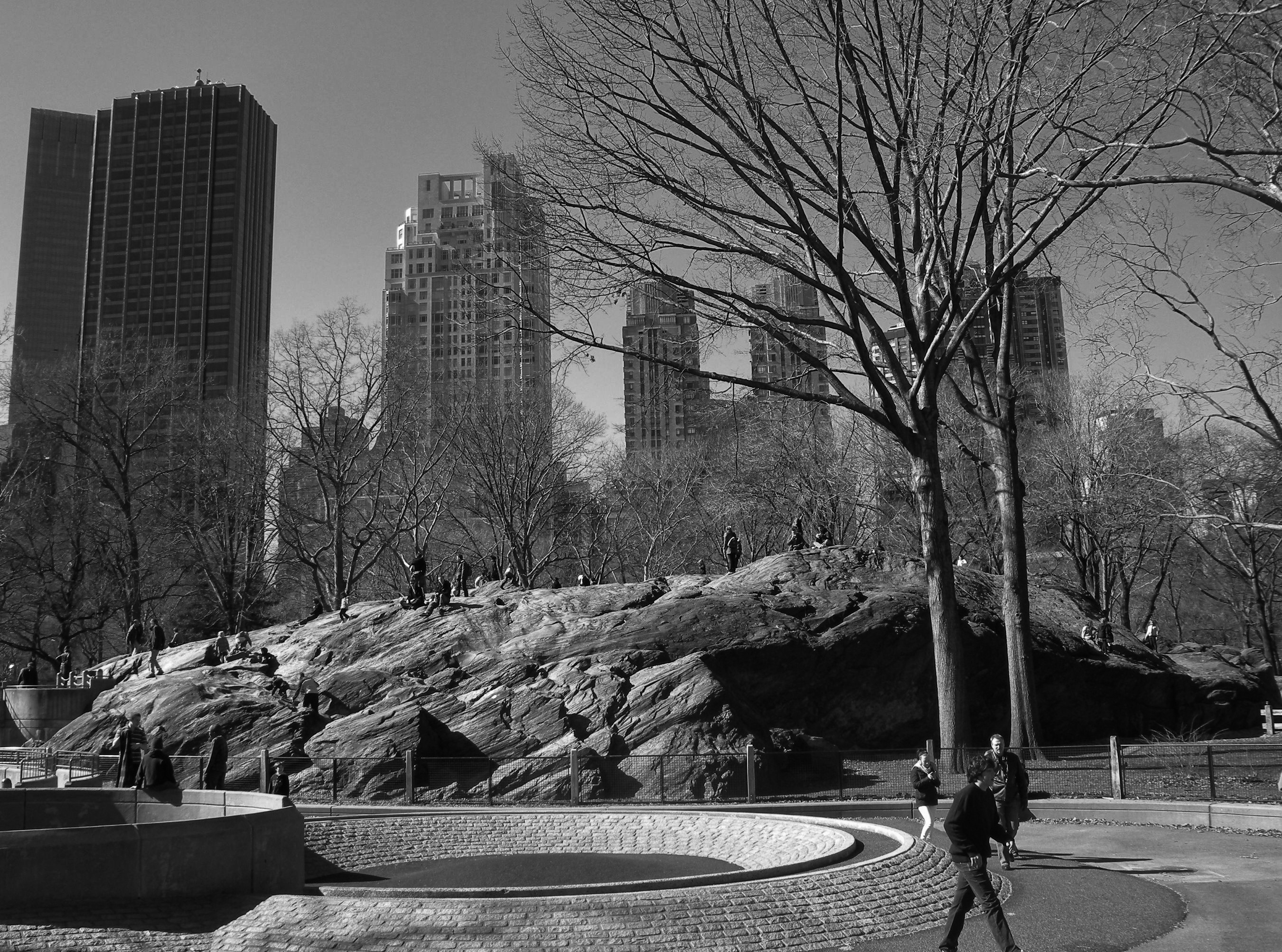 gray scale photo of park